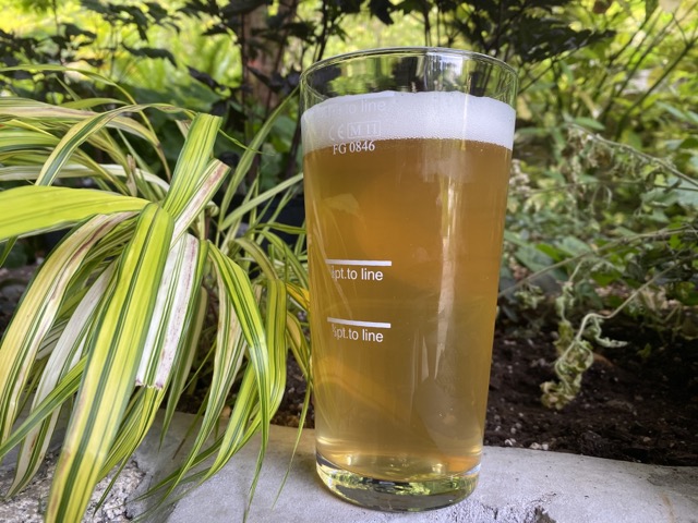 Pint of Bohemian Pilsner