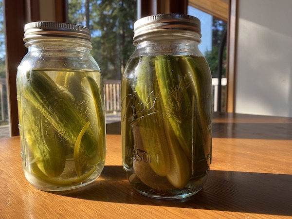 Basic Dill Pickles Recipe